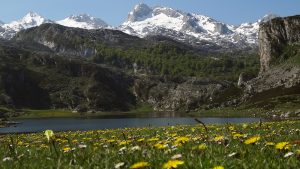 Lago Ercina en primavera